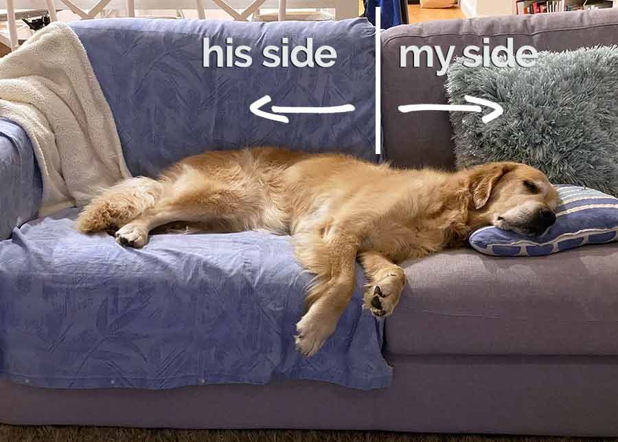 Dozer couch barrier breaching